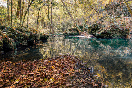秋天的森林景象黄叶和橙叶带流水在水图片