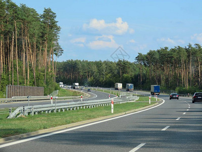 新高速公路穿过高大的松树林双车厢每个方向2条图片