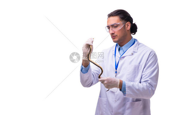 年轻男动物学家与蛇在图片