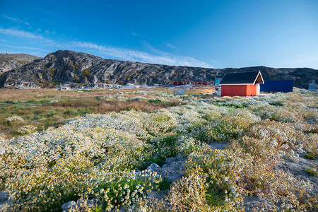格陵兰Ilulis图片