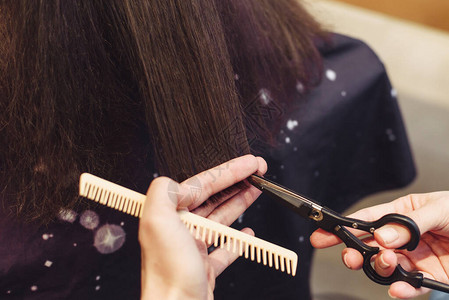 美发师为坐在美容院的黑发女郎剪头发美发师在美发沙龙用剪刀给女图片