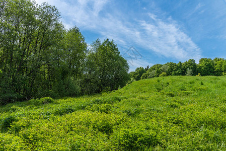 欧洲夏季风景阳光明媚的日子里图片