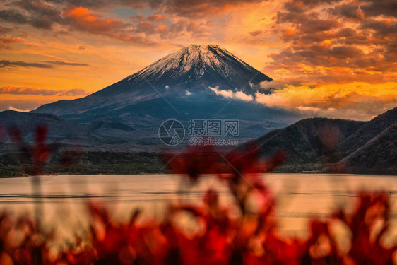 在日本亚马纳什日落时秋叶图片