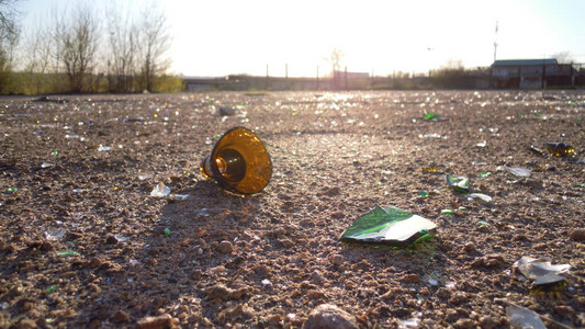 环境,污染背景-环境,污染摄影图片-松树林中的大堆塑料和玻璃瓶废物