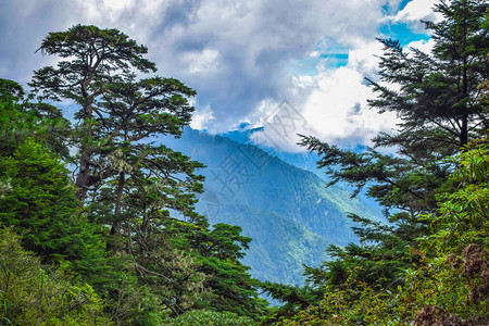 Jade山地景观山台图片