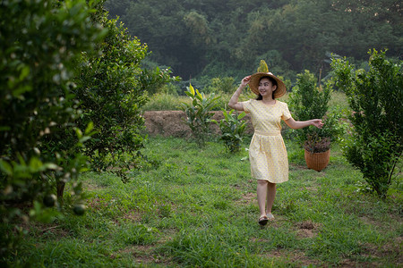年轻的园丁亚洲女人微笑着提泰式篮子在蜜橘园里图片
