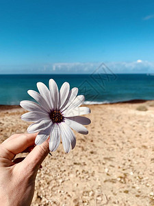 蓝色天空和海面背景的雌手图片