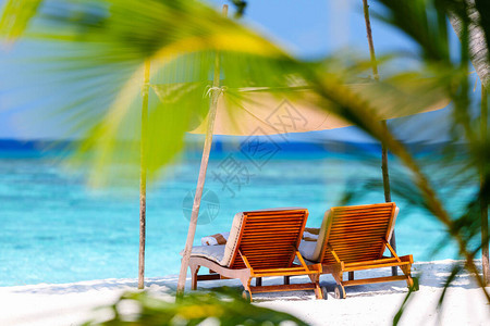 马尔代夫美丽的热带海滩上木林休息椅图片