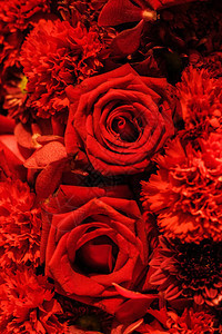 红色浪漫玫瑰的爱情符图片