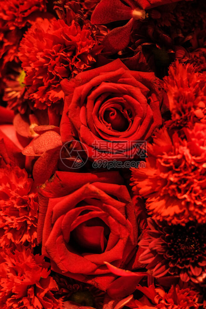 红色浪漫玫瑰的爱情符图片