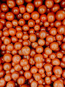 成熟的美味番茄西红柿吃背景图片