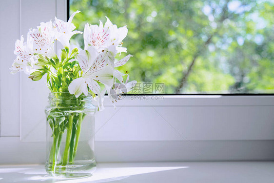 一束白花Alstroemeria站在白色窗台上图片