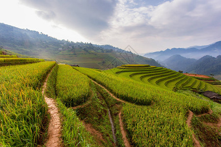 越南MuCangChai绿梯田的美丽景象图片