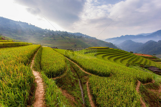 越南MuCangChai绿梯田的美丽景象图片