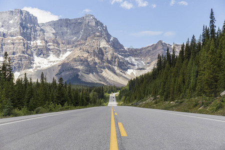 横穿松林和高山带黄线的加拿大公路的显著道路地貌图片