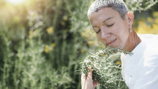 中年自然美貌女轻地触摸迷迭香植物图片