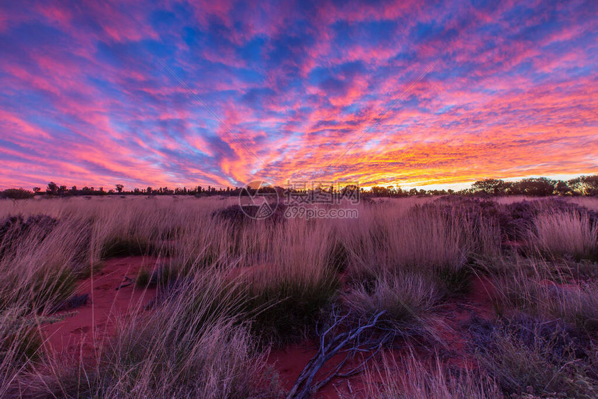 澳大利亚草原的日落图片