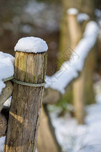 冬天的苔藓和积雪的栅栏柱图片