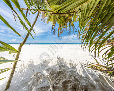 在塞舌尔热带天堂附近海边的白沙滩上图片