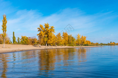 黄河美丽的秋天风景海湾沙岸有背景