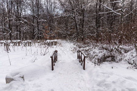 冬天公园里积雪覆盖的小溪上的桥图片