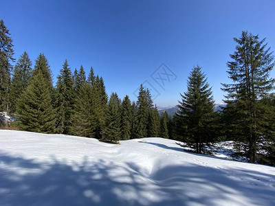 瑞士施韦兹施维茨州艾因西德尔恩阿尔普塔尔高山谷的初春大气层和冬图片