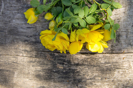 质朴的木质背景上的黄色玫瑰花图片