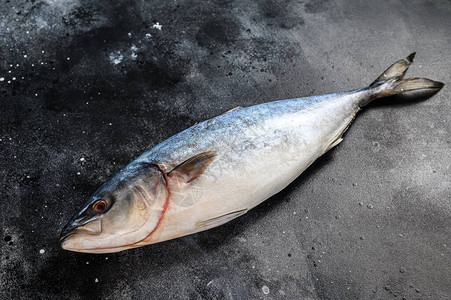 原始日本黄尾鱼新鲜的鱼捕食黑色背图片