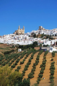 白色城镇在西班牙安达卢西亚西欧卡迪兹省奥尔韦拉O图片
