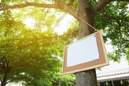 通知板上挂在花园树上的白纸页空白图片