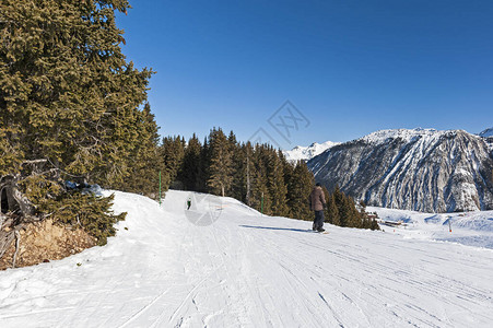 在高山度假胜地穿过树木的滑雪斜坡脚踏图片