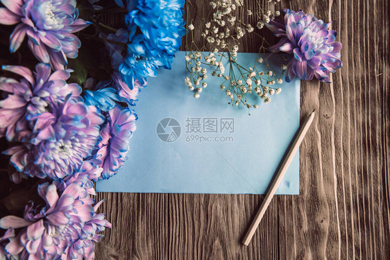 紫罗兰蓝色和粉红色的菊花一束带复制空间的木本底染色菊花图片