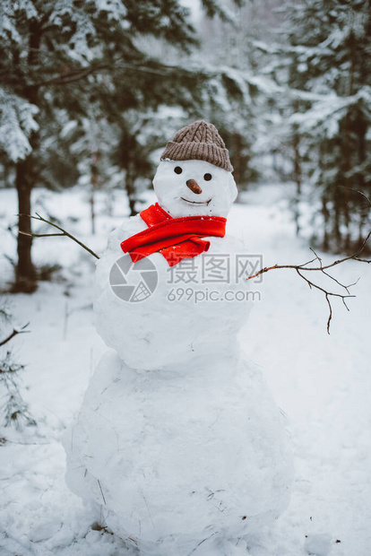 站立在冬天风景的雪人图片