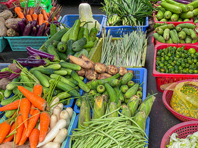 新鲜蔬菜在越南户外图片