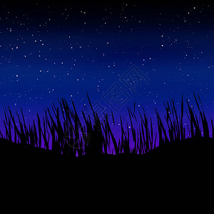 草的剪影和夜满天星斗的天空图片