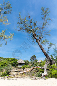 柬埔寨西哈努克维尔拉齐海滩高原Sa图片