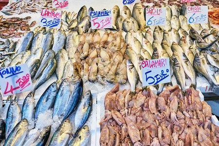 供意大利那不勒斯市场销售的Calamari图片