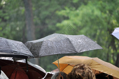 露天伞在夏雨的滴下对着图片