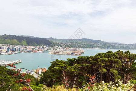 惠灵顿是一个岛国的首都新西兰图片