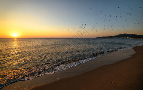 海边日出沙滩鸟儿飞翔图片