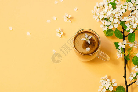 杯咖啡和盛开精致的花朵在黄面上图片