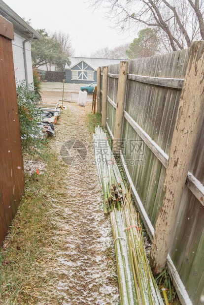 位于美国得克萨斯州达拉斯市郊住宅区郊的雪覆盖下的侧楼花园图片