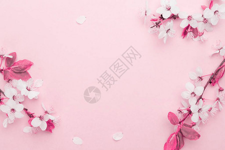 五月花图片 五月花素材 五月花高清图片 摄图网图片下载