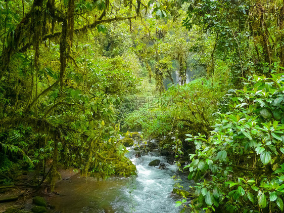 LaPaz瀑布果园自然公园哥斯达黎图片