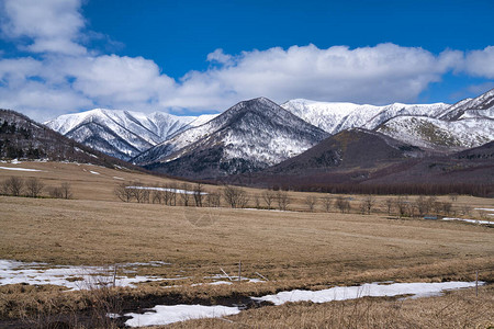 北海道Shimiizu的马图片