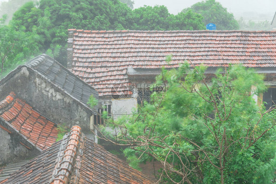鸟瞰越南北部偏远村庄古瓦屋顶上的强降雨和有花园和槐树的越南乡村住图片