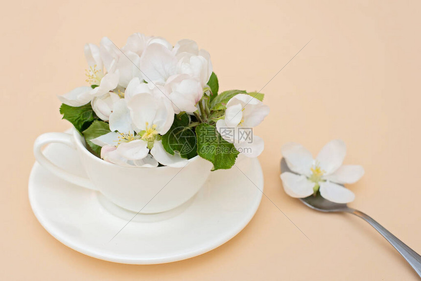 白春苹果花朵在咖啡杯中盛开图片