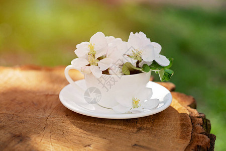 白春苹果花朵在咖啡杯中盛开花朵图片