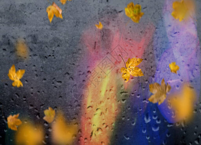 秋叶落人行道阴雨城市晚光反射在旧路面雨滴在窗口城市光模糊背景图片