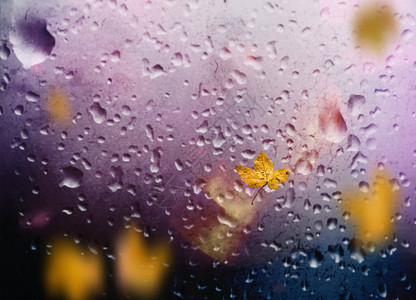 秋叶落人行道阴雨城市晚光反射在旧路面雨滴在窗口城市光模糊图片